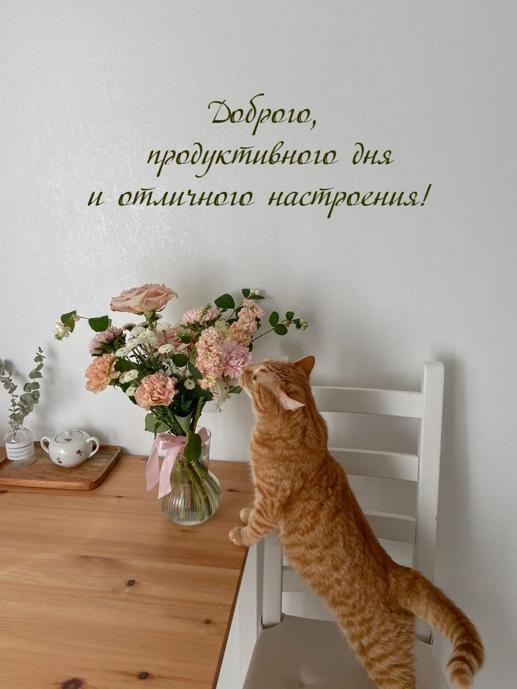Доброго, продуктивного дня и отличного настроения!