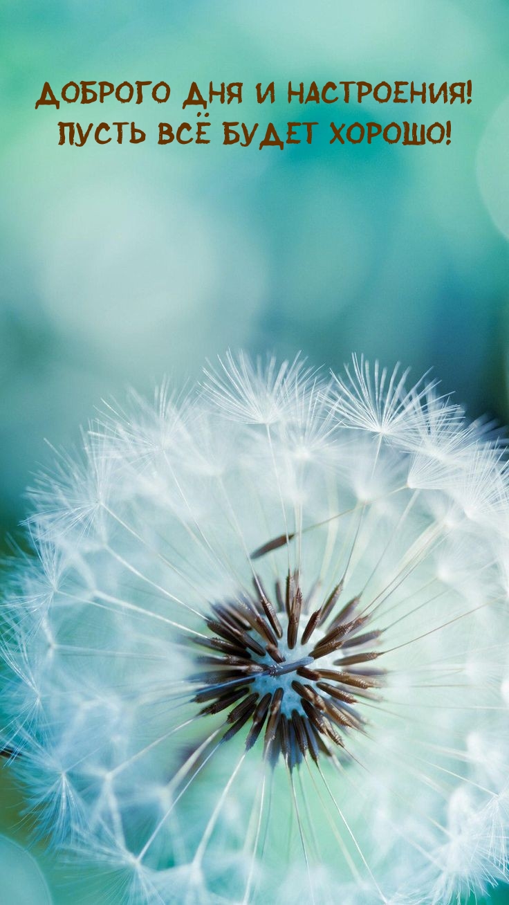 Доброго дня и настроения! Пусть всё будет хорошо!