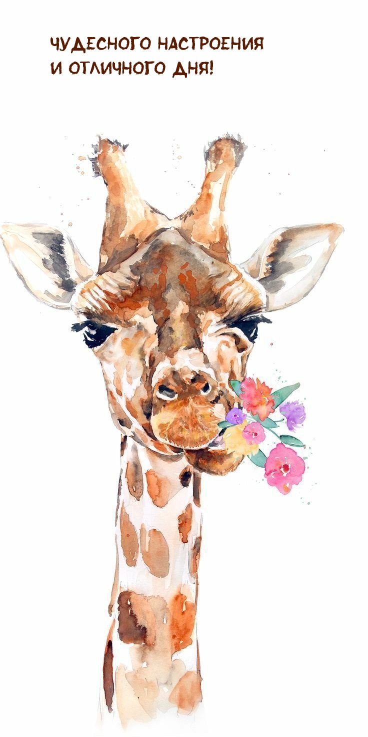 Чудесного настроения и отличного дня!