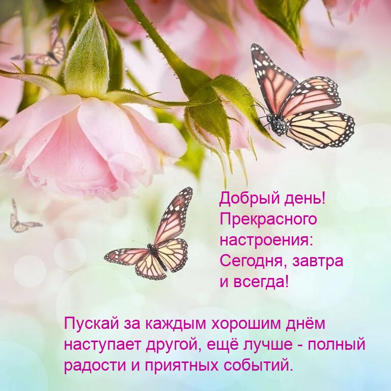 Добрый день! Прекрасного настроения: сегодня, завтра и всегда!