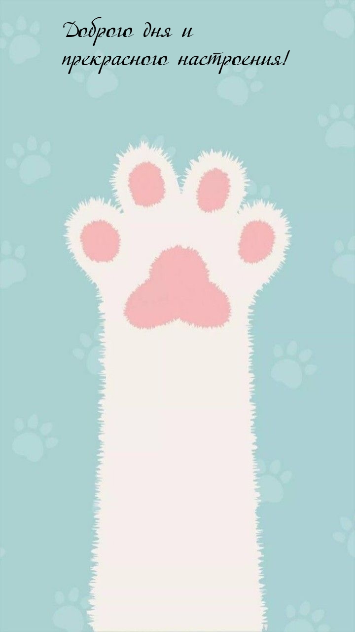 Доброго дня и прекрасного настроения!