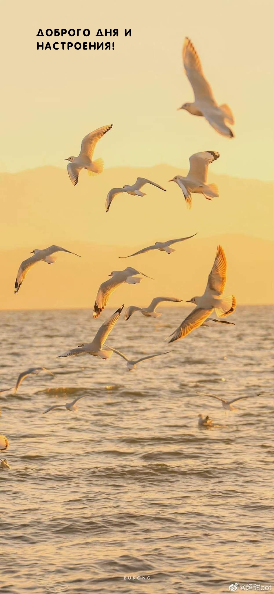 Доброго дня и настроения!