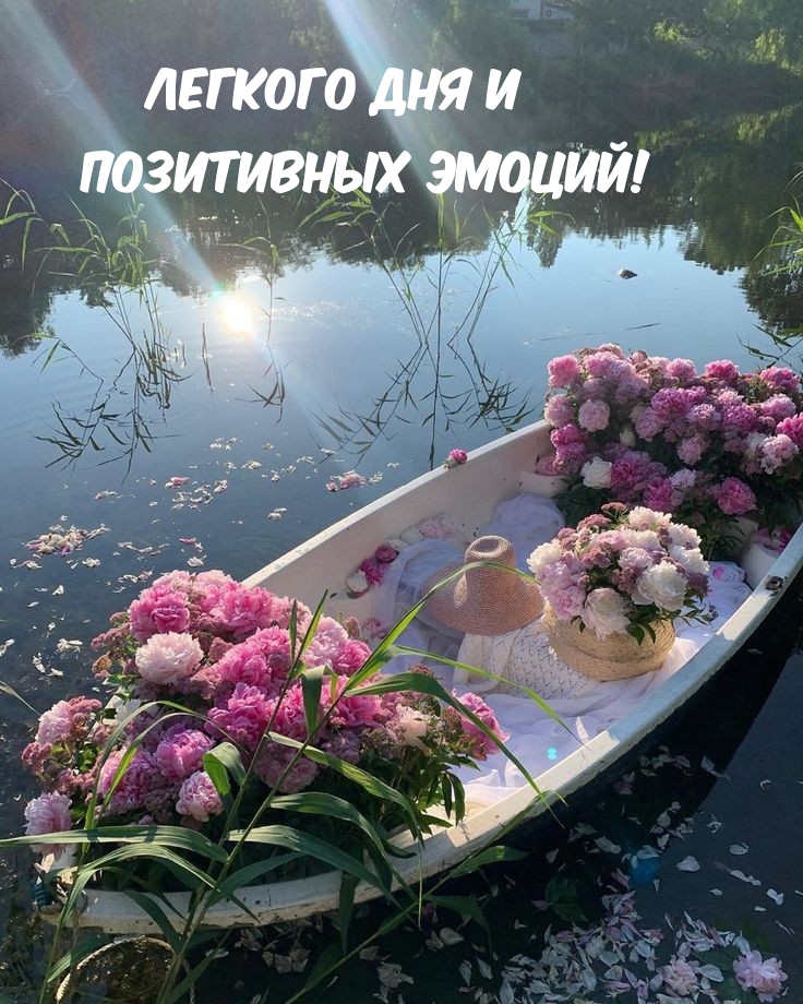 Легкого дня и позитивных эмоций!