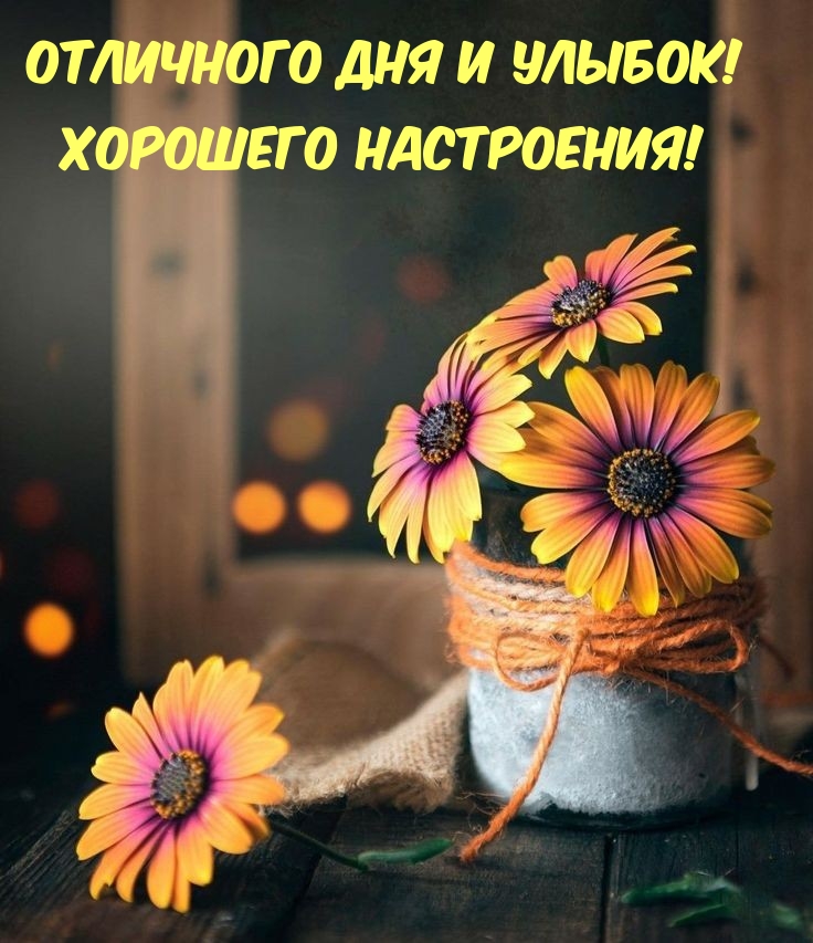 Отличного дня и улыбок! Хорошего настроения!