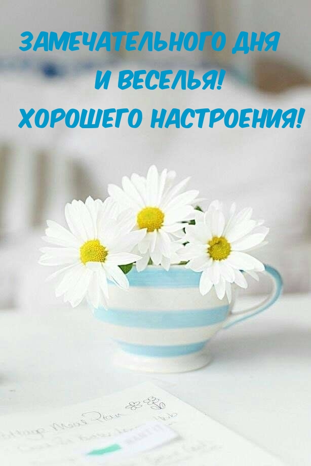 Замечательного дня и веселья! Хорошего настроения!
