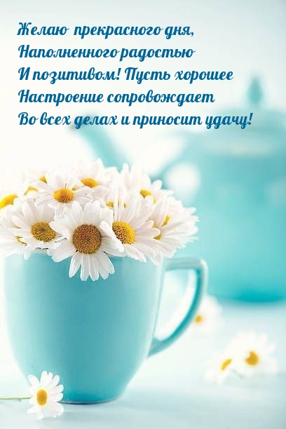 Желаю  прекрасного дня, наполненного радостью и позитивом!