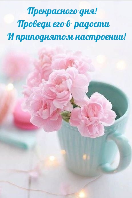 Прекрасного дня! Проведи его в радости и приподнятом настроении!