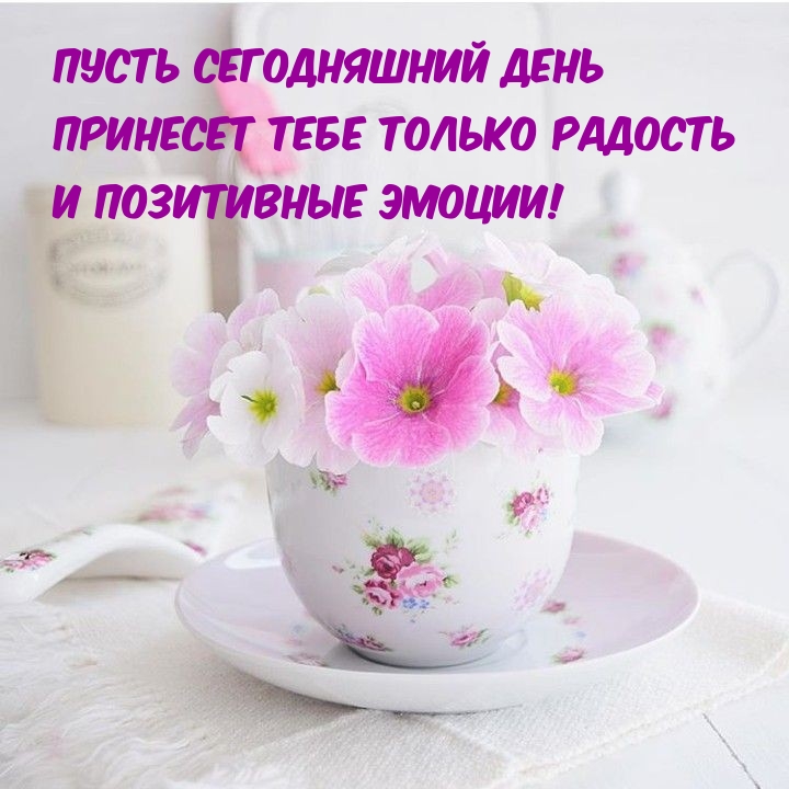 Пусть сегодняшний день принесет радость и позитивные эмоции! 