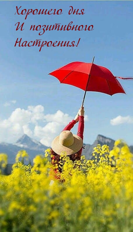 Хорошего дня и позитивного настроения!