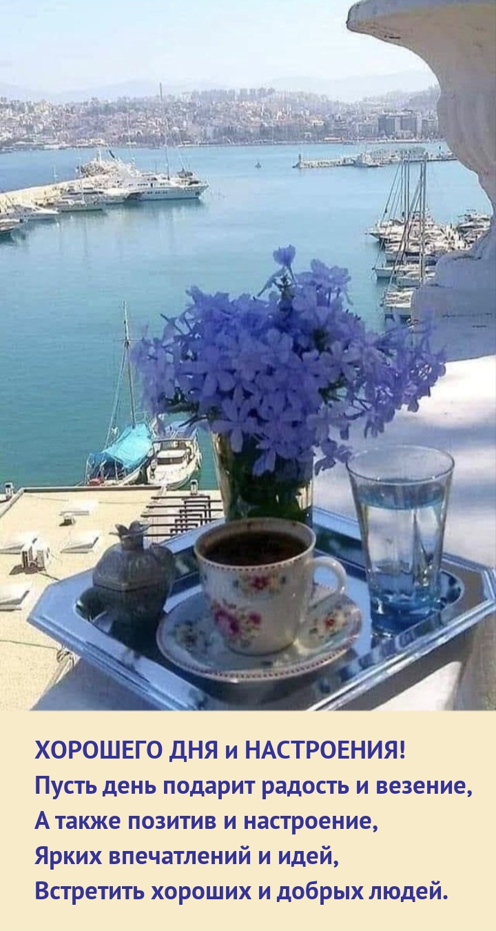 Хорошего дня и настроения! Пусть день подарит радость и везение