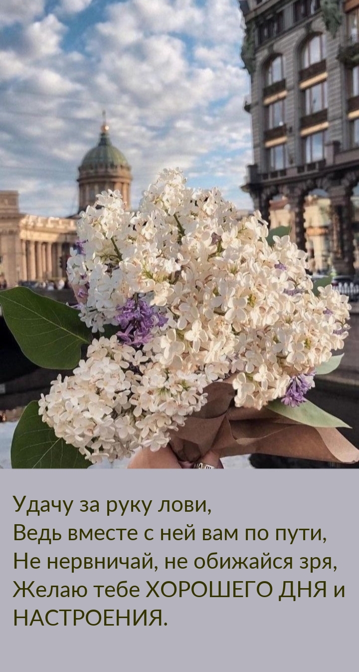 Удачу за руку лови, ведь вместе с ней вам по пути