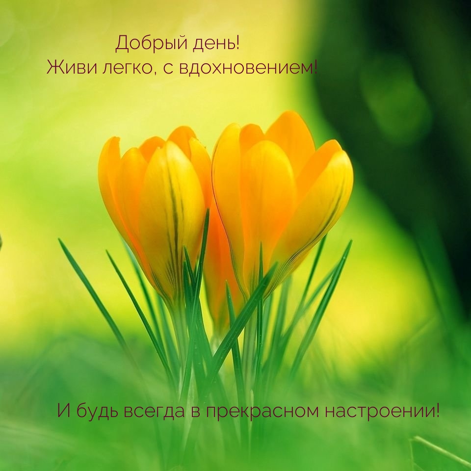 Добрый день! Живи легко, с вдохновением!