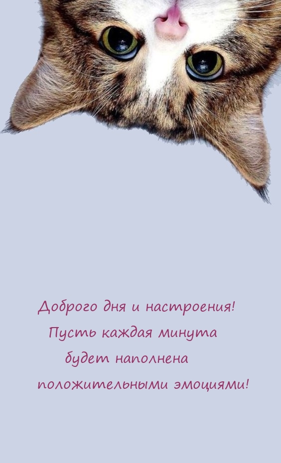 Доброго дня и настроения! Пусть каждая минута будет наполнена эмоциями!