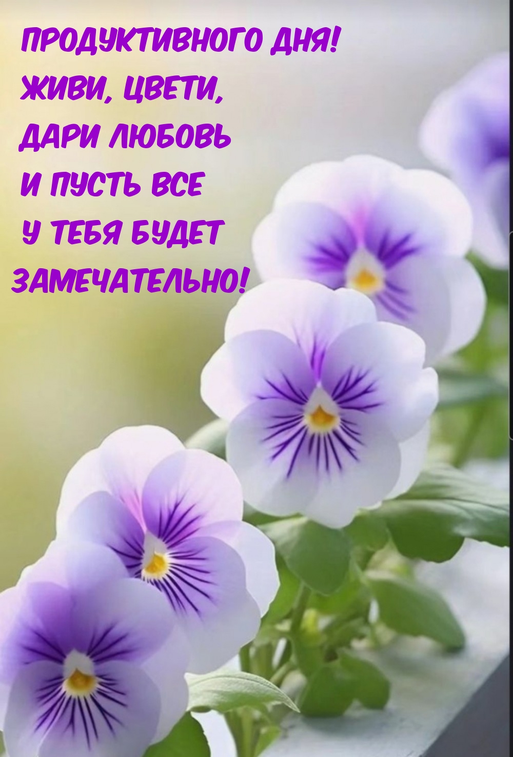 Продуктивного дня! Живи, цвети, дари любовь