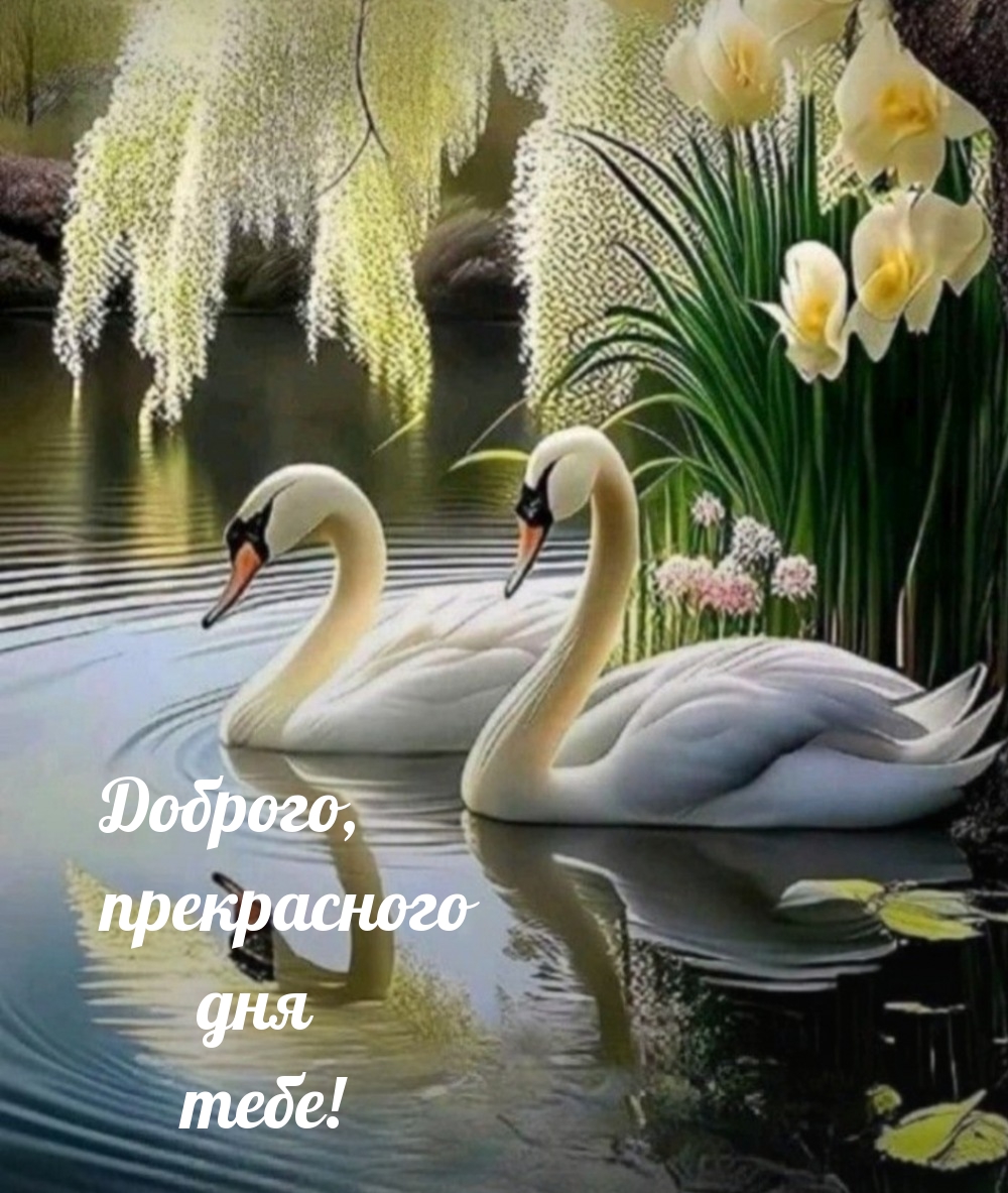 Доброго, прекрасного дня тебе!