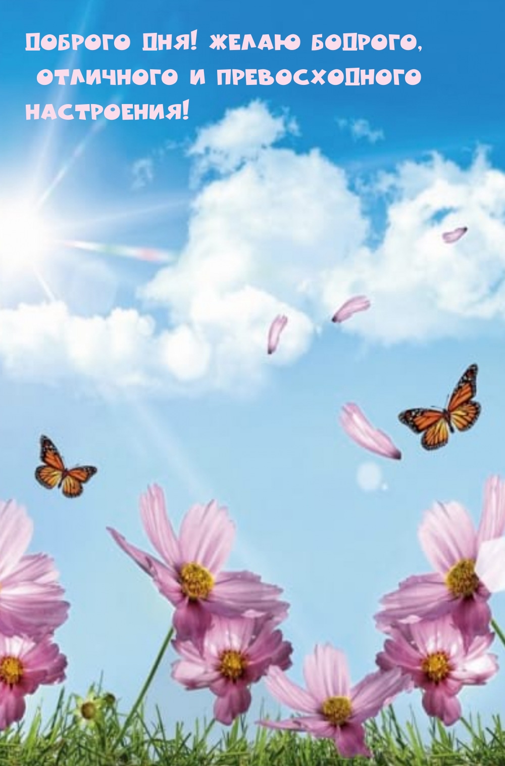 Доброго дня! Желаю бодрого, отличного и превосходного настроения!
