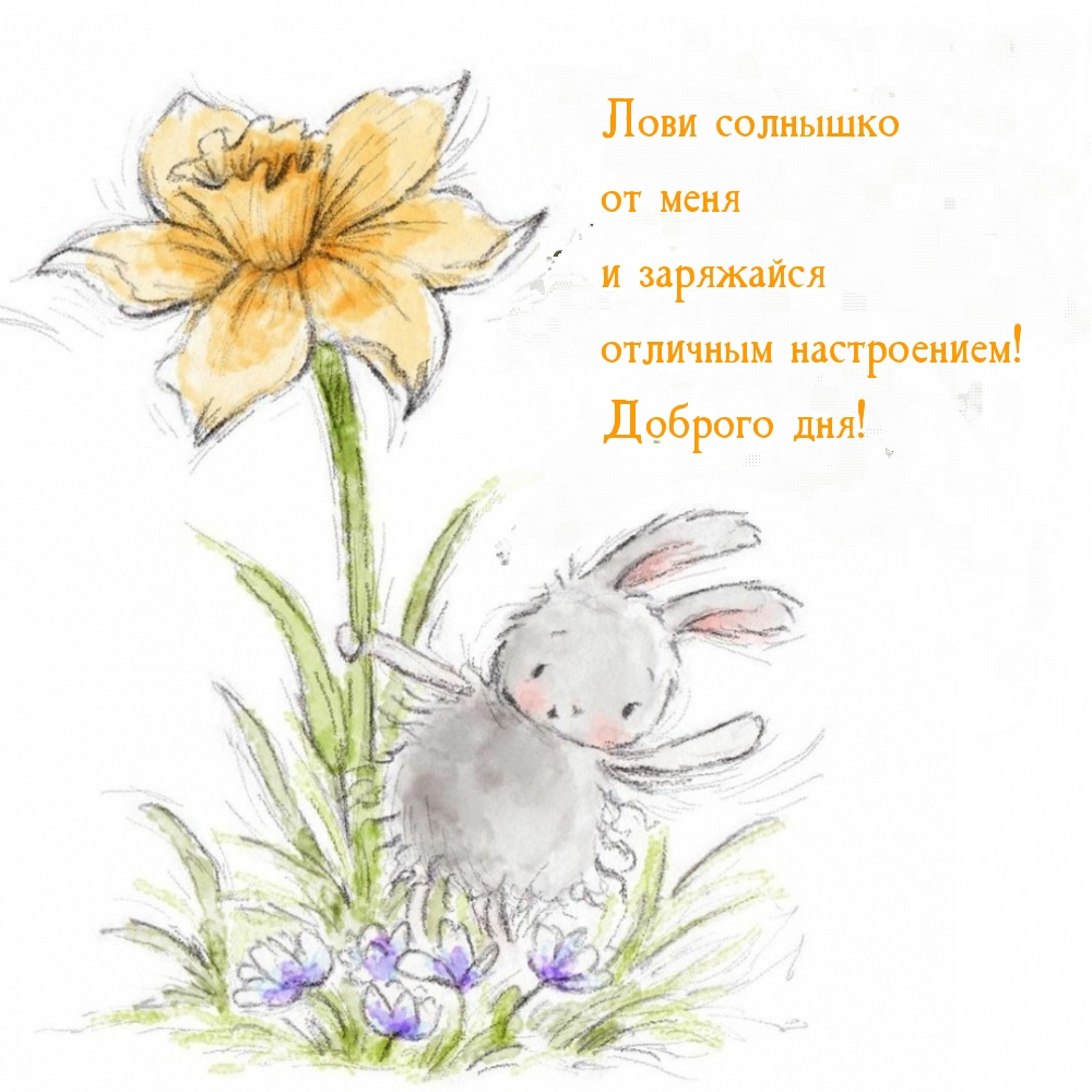 Заряжайся отличным настроением! Доброго дня!