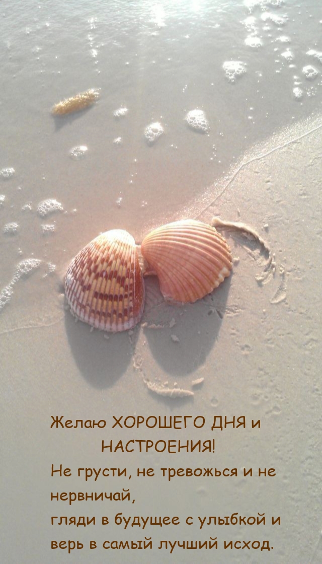 Желаю хорошего дня и настроения! Не грусти, не тревожься