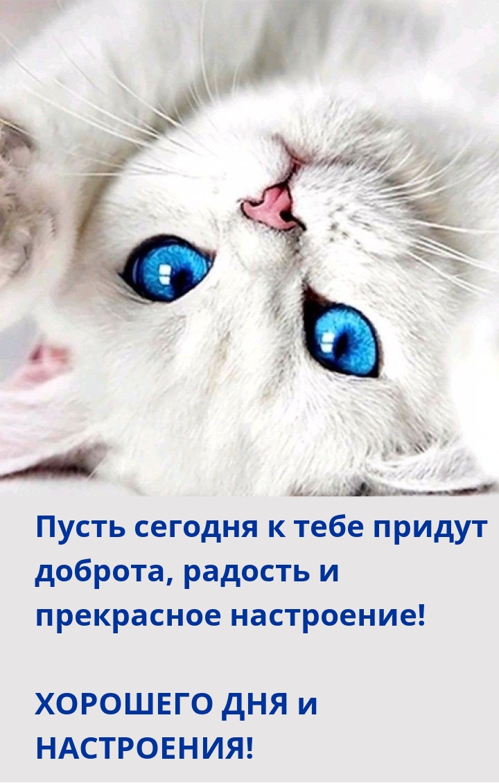 Пусть сегодня к тебе придут доброта Хорошего дня и настроения!