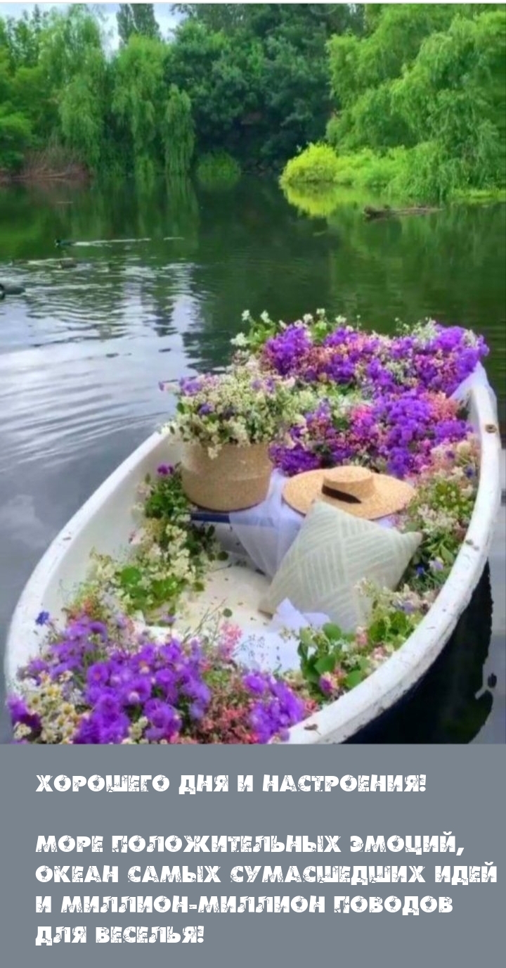 Хорошего дня и настроения! Море положительных эмоций