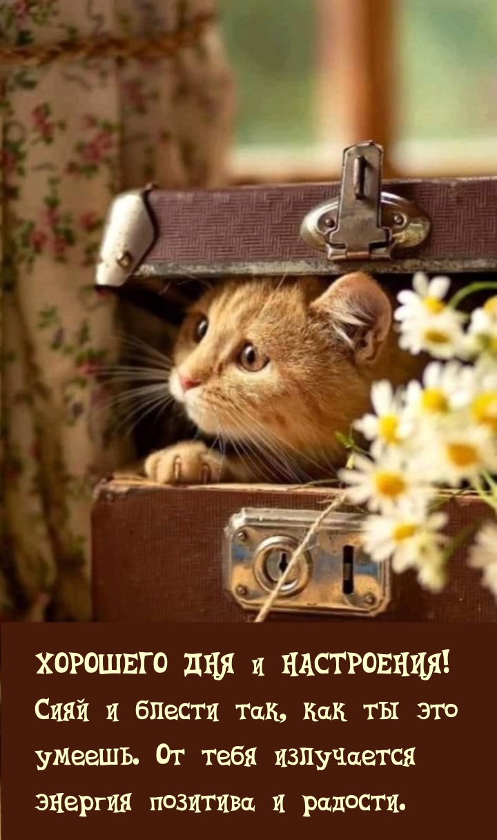 Хорошего дня и настроения! Сияй и блести так