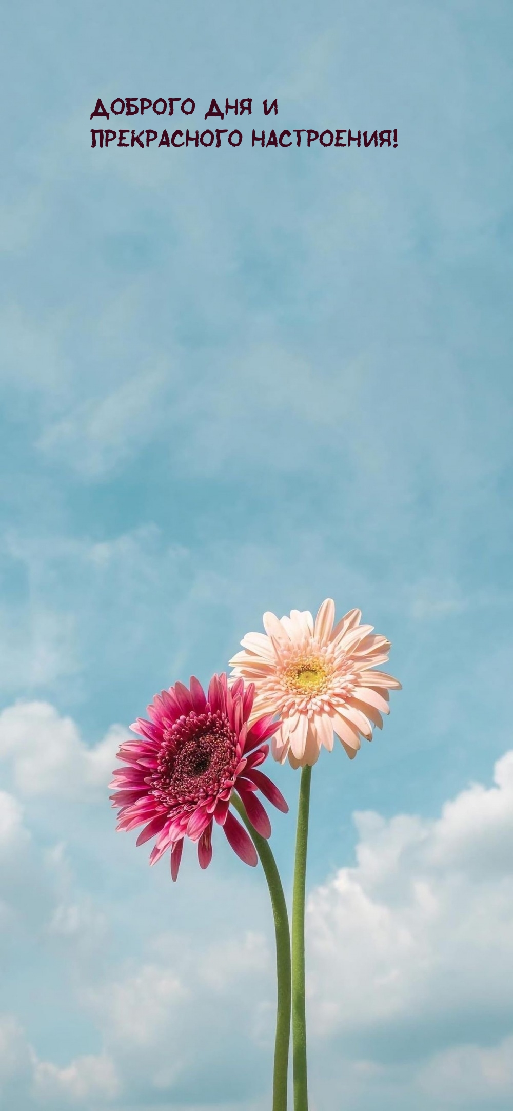 Доброго дня и прекрасного настроения!