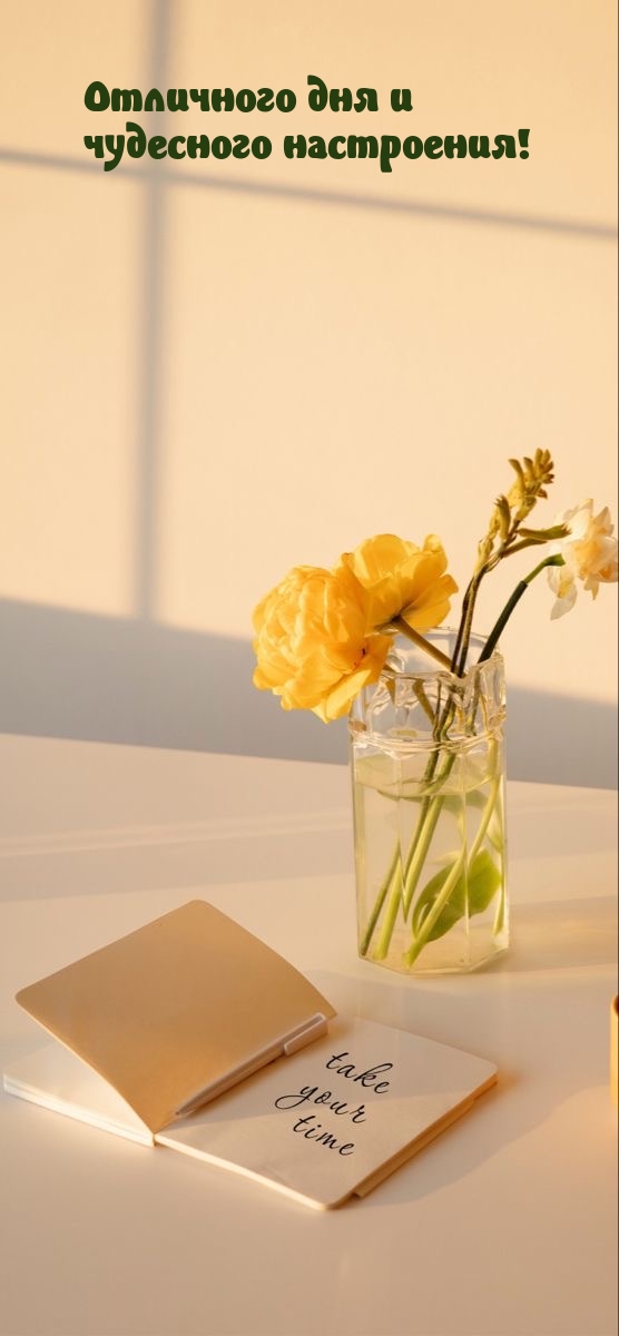 Отличного дня и чудесного настроения!
