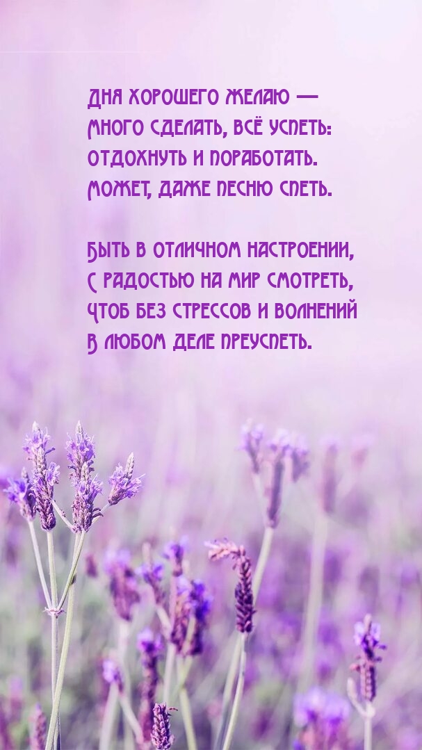 Дня хорошего желаю — много сделать, всё успеть: Отдохнуть и поработать.