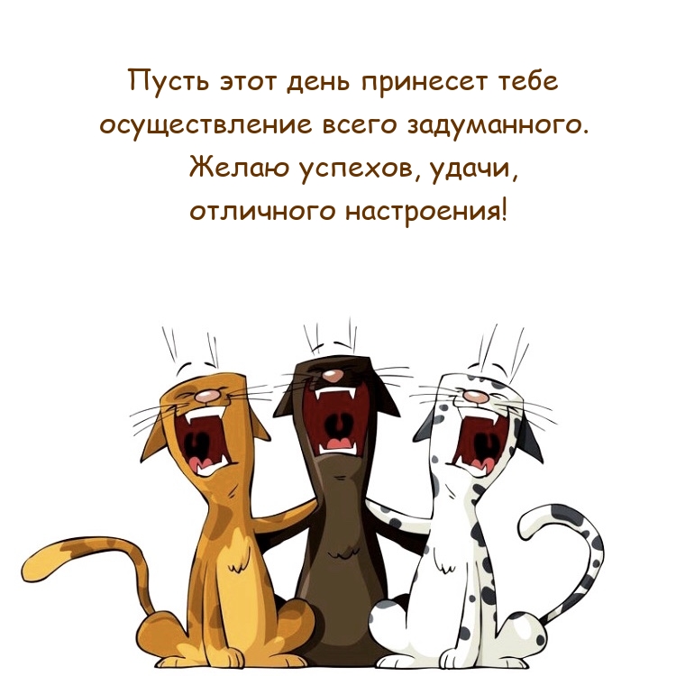 Желаю успехов, удачи, отличного настроения!