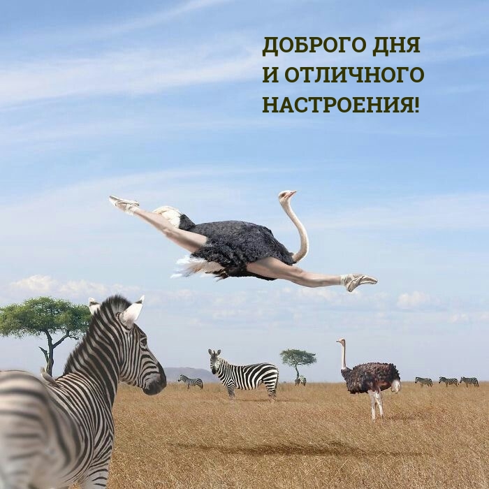 Доброго дня и отличного настроения!