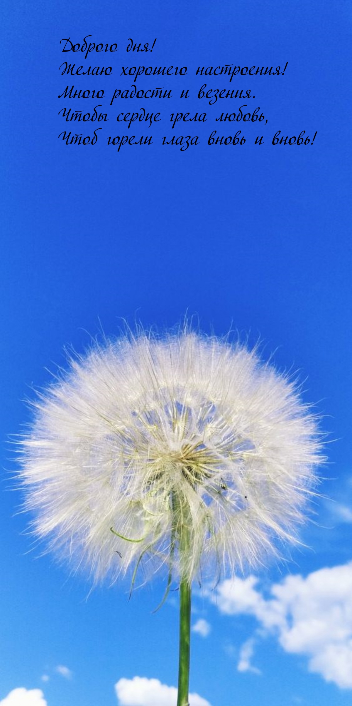 Доброго дня! Желаю хорошего настроения! Много радости и везения.