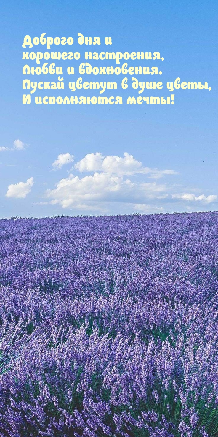 Доброго дня и хорошего настроения, любви и вдохновения.
