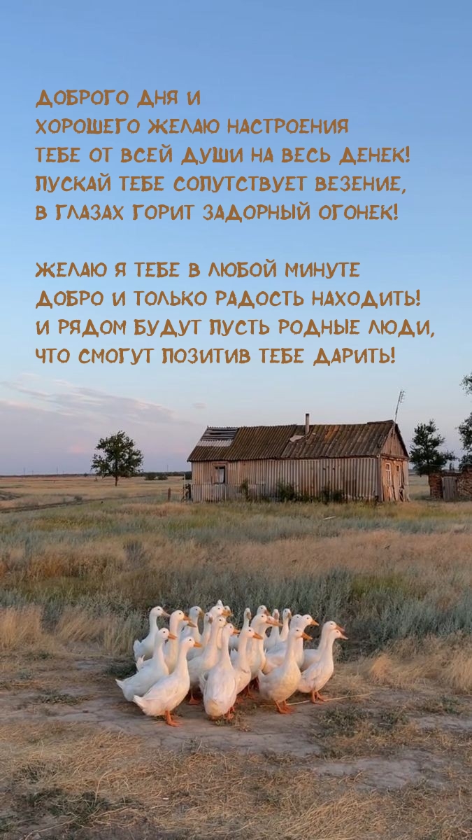 Доброго дня и хорошего настроения тебе от всей души на весь денек!