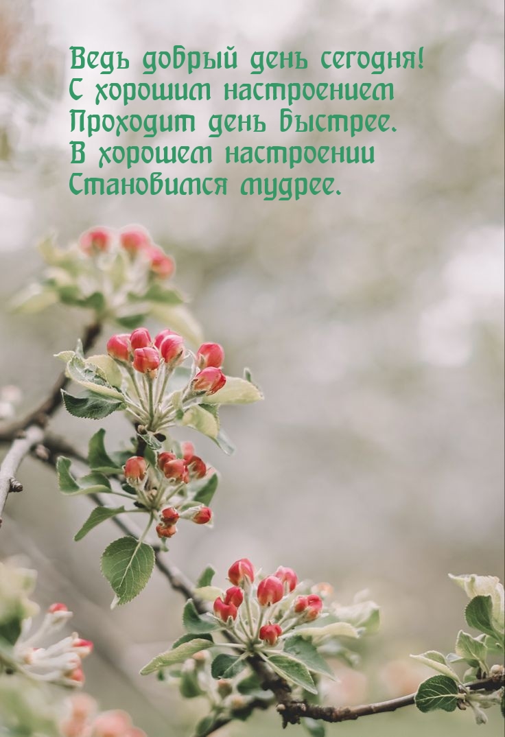 С хорошим настроением проходит день быстрее.