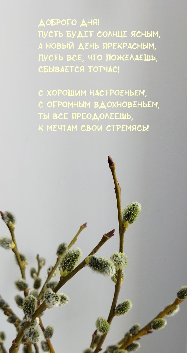 Доброго дня! Пусть будет солнце ясным, а новый день прекрасным
