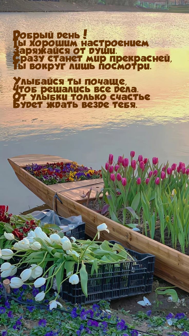 Добрый день! Ты хорошим настроением заряжайся от души.