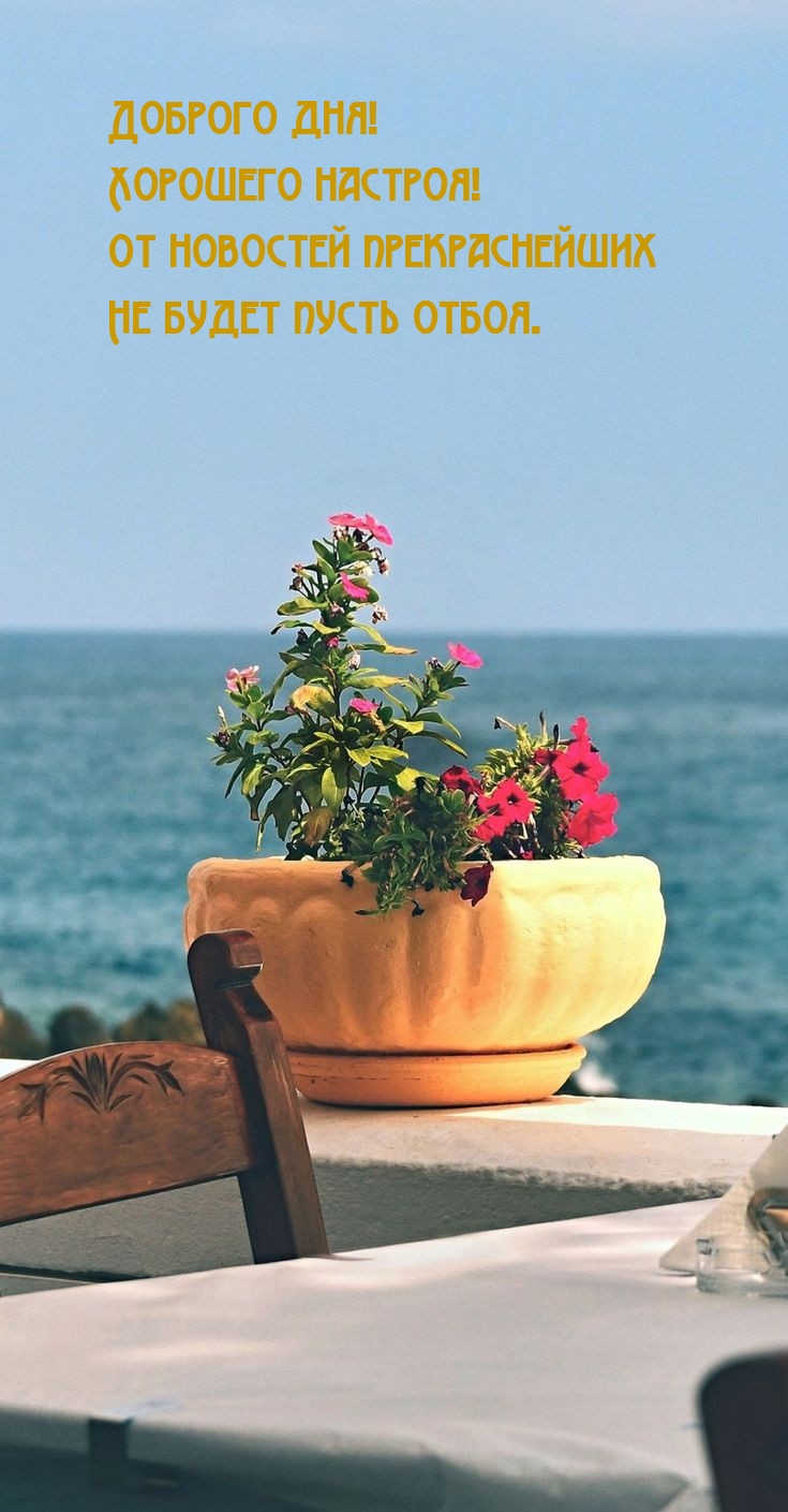 Хорошего настроя! От новостей прекраснейших не будет пусть отбоя.