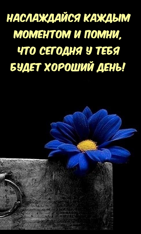 Наслаждайся каждым моментом и помни, что будет хороший день!