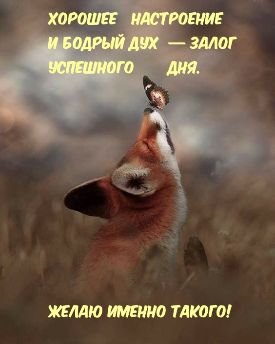 Хорошее настроение и бодрый дух  — залог успешного дня. 