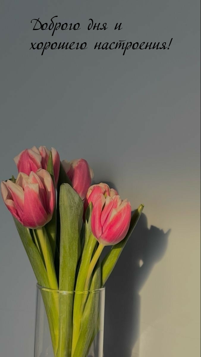Доброго дня и хорошего настроения!