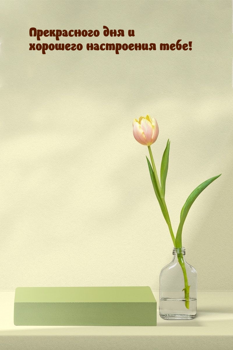 Прекрасного дня и хорошего настроения тебе!