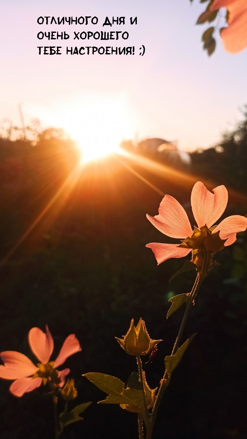 Отличного дня и очень хорошего тебе настроения! ;)