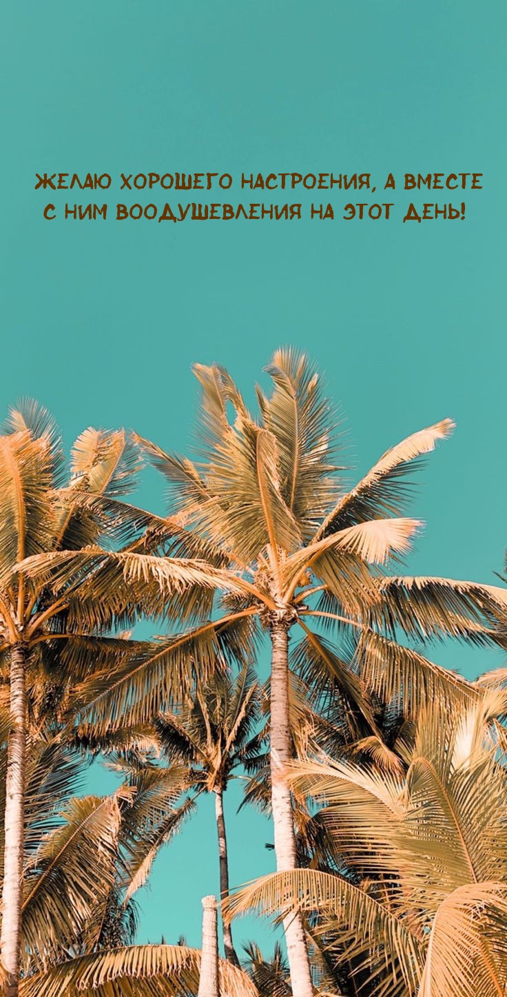 Хорошего настроения, а вместе с ним воодушевления на этот день!