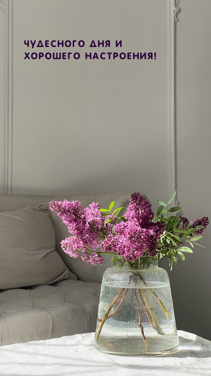Чудесного дня и хорошего настроения!