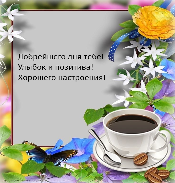Добрейшего дня тебе! Улыбок и позитива! Хорошего настроения!