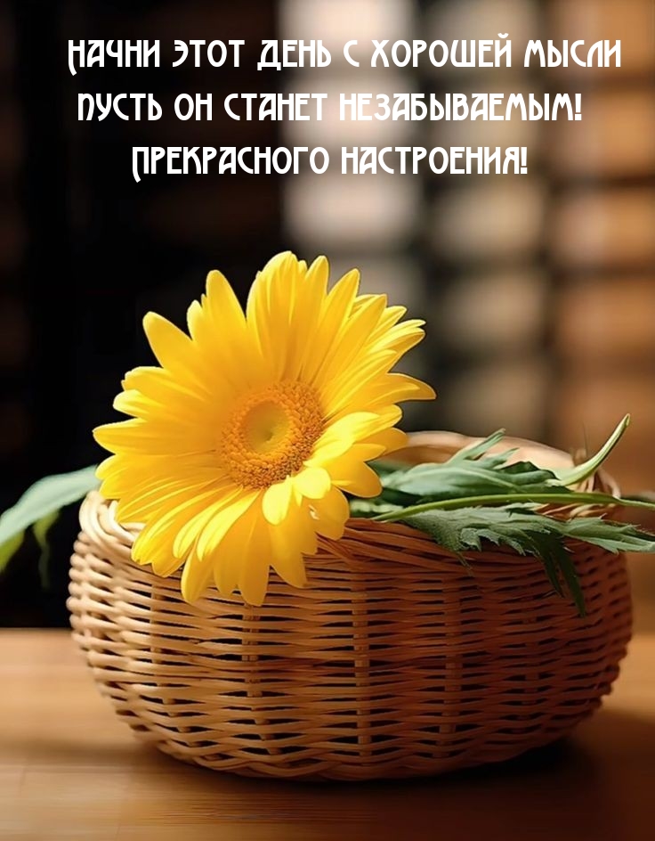 Начни этот день с хорошей мысли пусть он станет незабываемым!