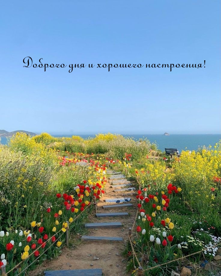 Доброго дня и хорошего настроения!