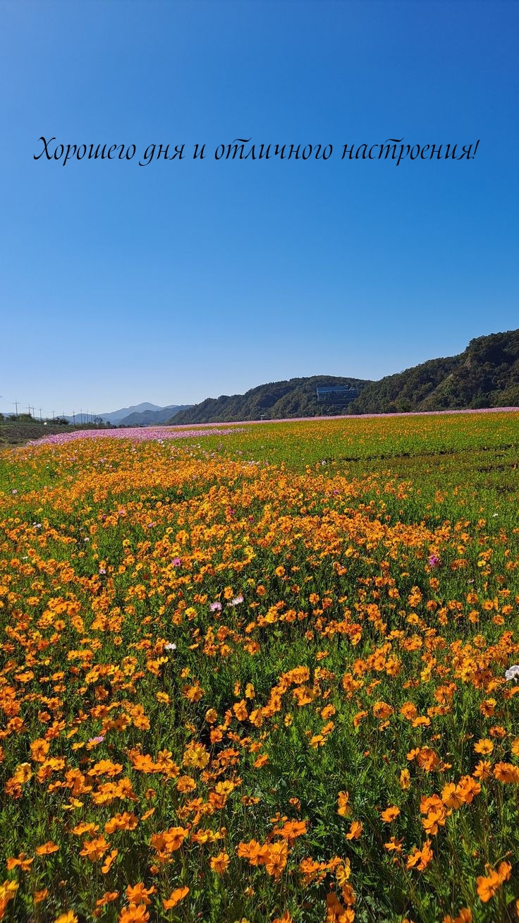 Хорошего дня и отличного настроения! 
