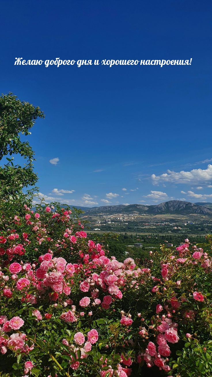 Желаю доброго дня и хорошего настроения! 