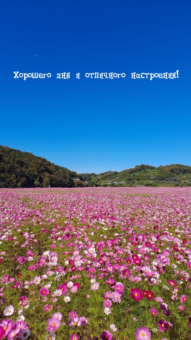 Хорошего дня и отличного настроения! 
